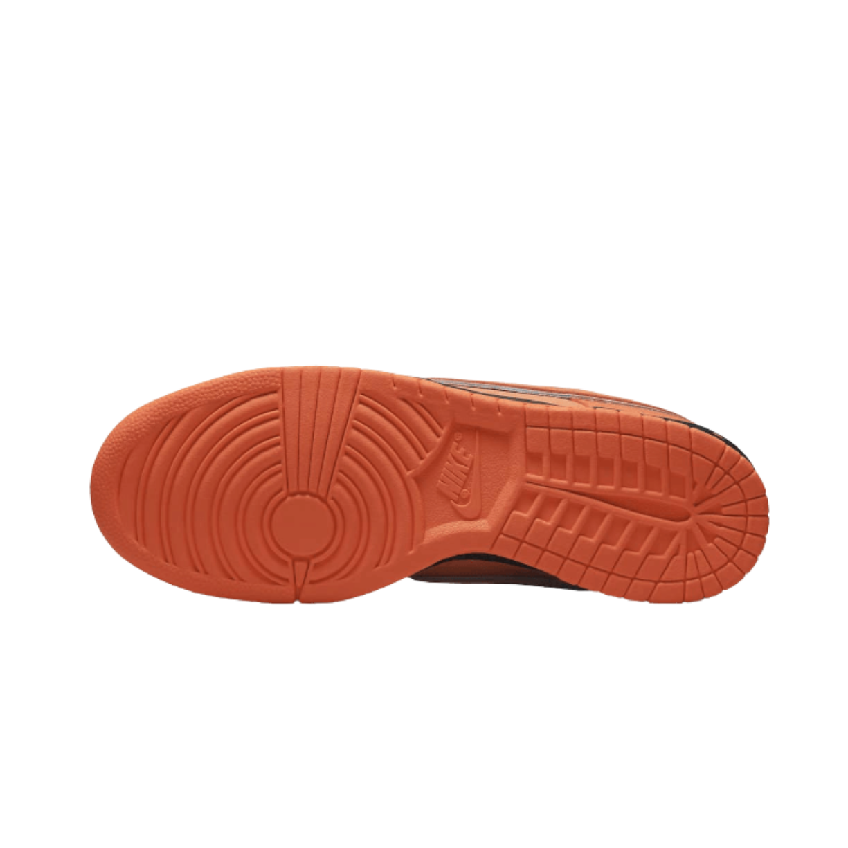 Nike SB Dunk Low Concepts Orange Lobster - Sneaker Lane