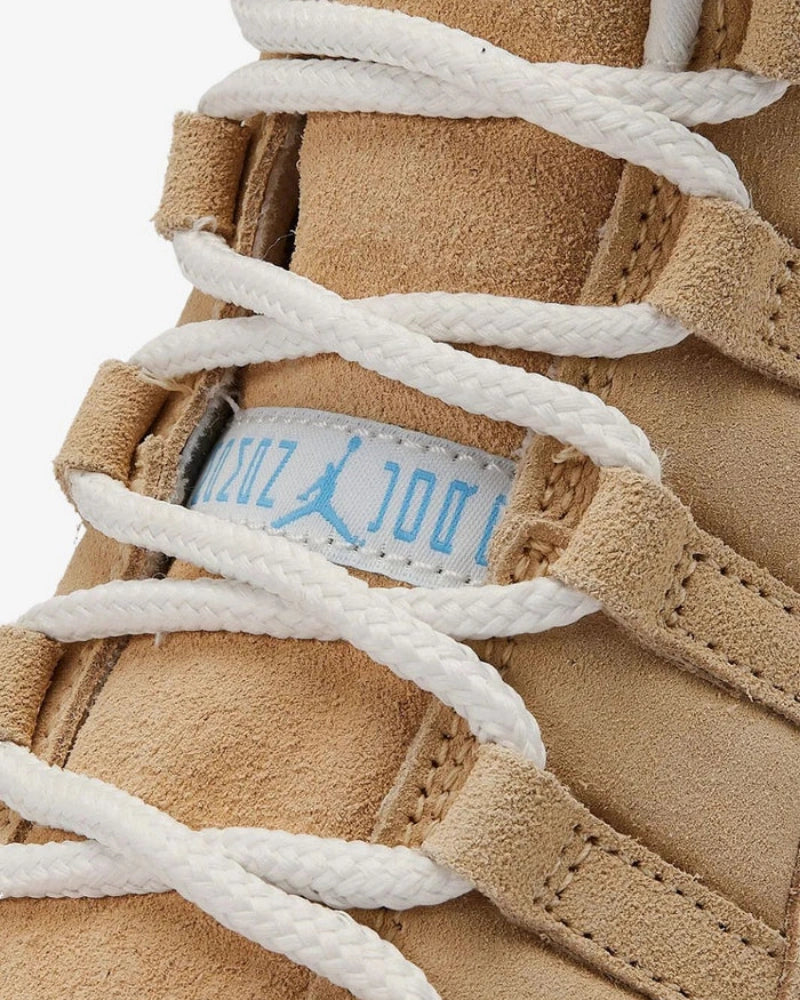 Air Jordan 11 Retro H-Town