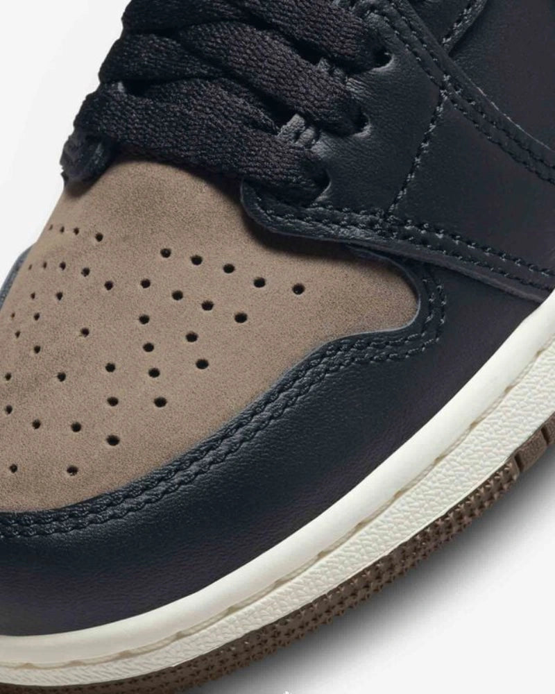 Air Jordan 1 Retro High OG Palomino (GS)