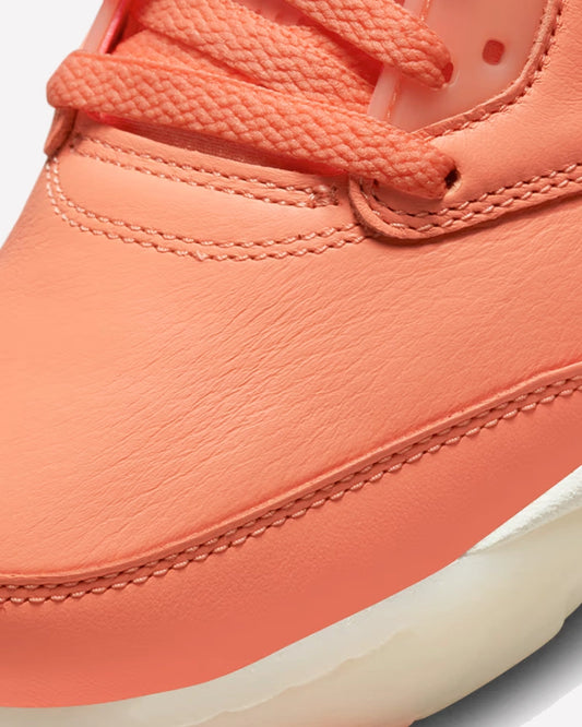 Air Jordan 5 Retro DJ Khaled We The Best Crimson Bliss