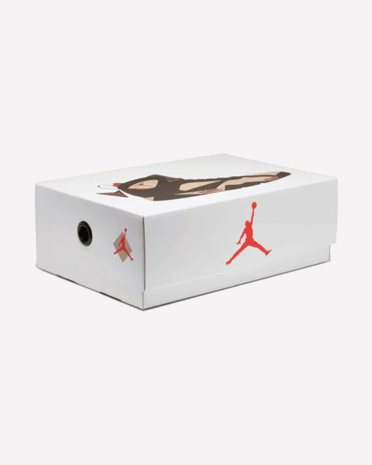Air Jordan 7 Retro Patta Shimmer