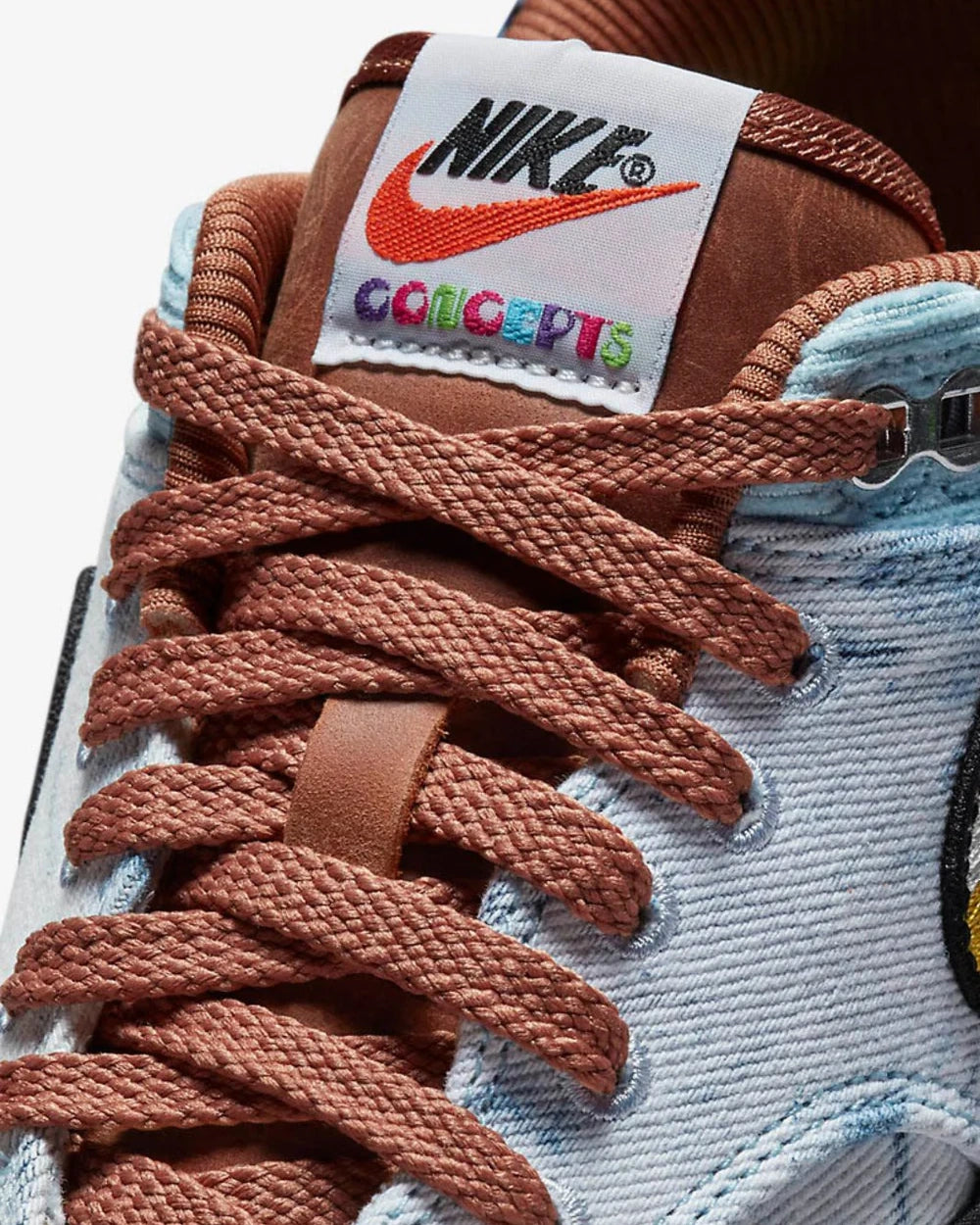 Nike Air Max 1 SP Concepts Heavy