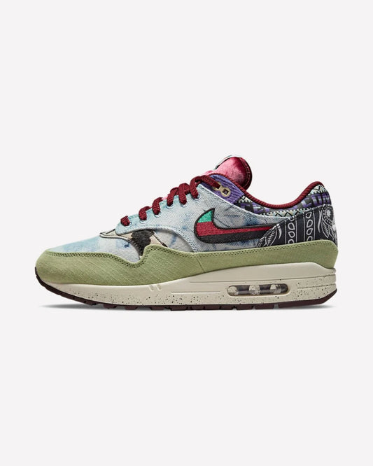 Nike Air Max 1 SP Concepts Mellow
