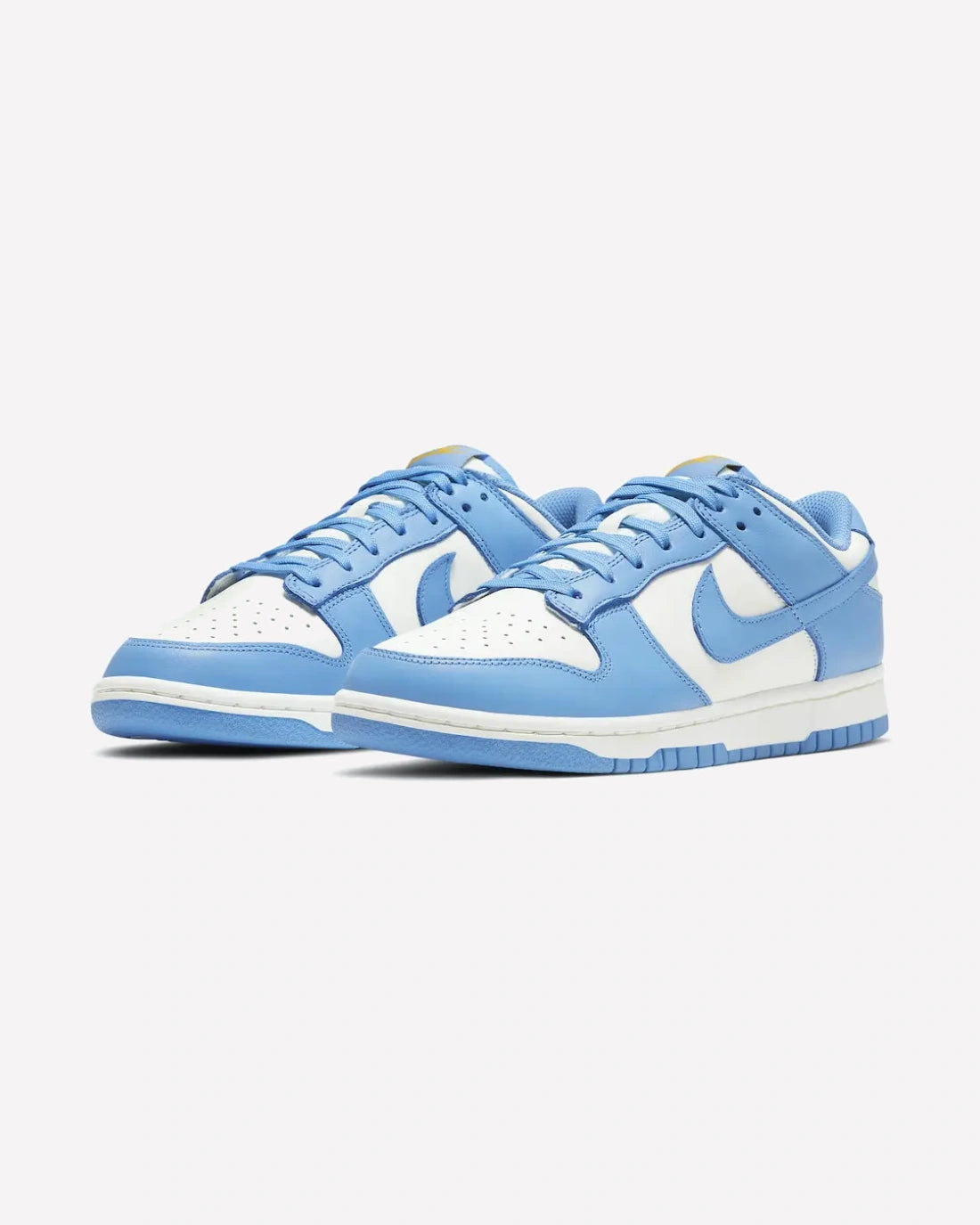 Nike Dunk Low Coast (W)