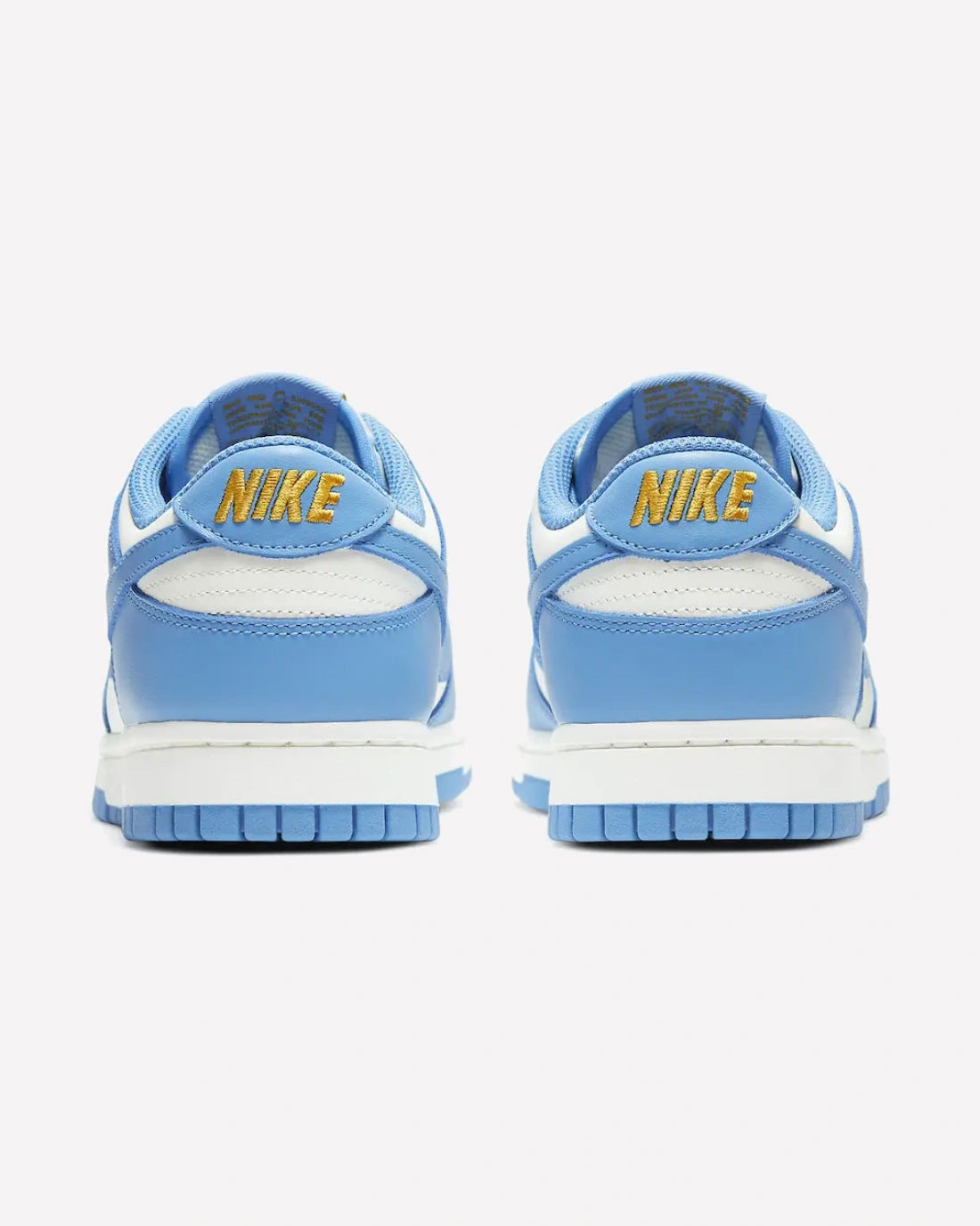 Nike Dunk Low Coast (W)