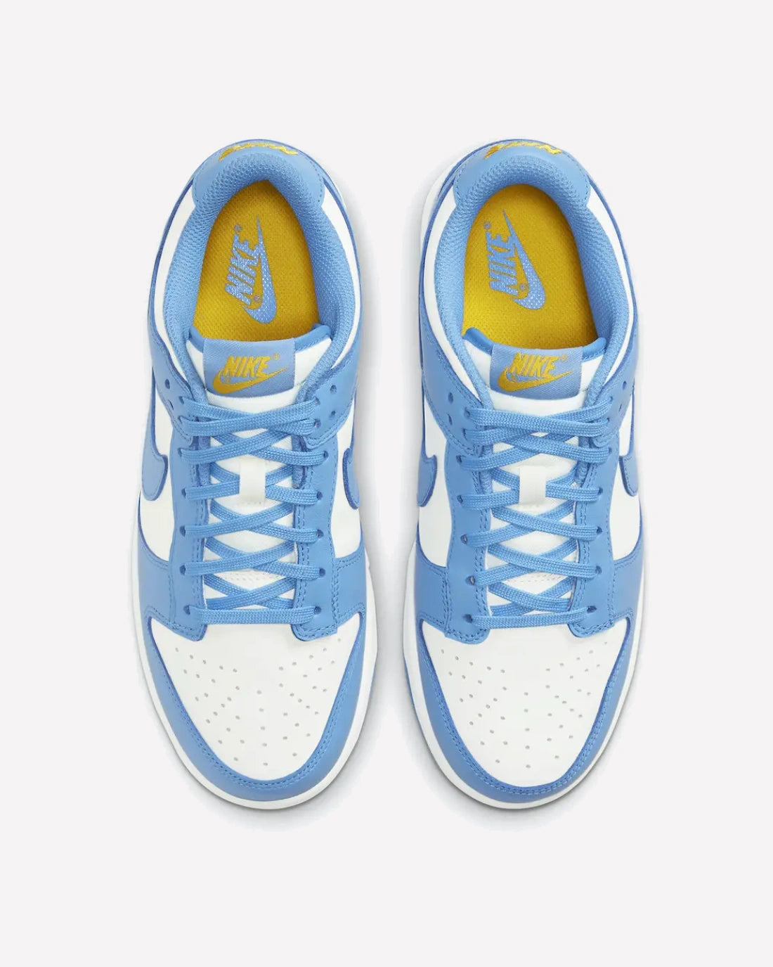 Nike Dunk Low Coast (W)