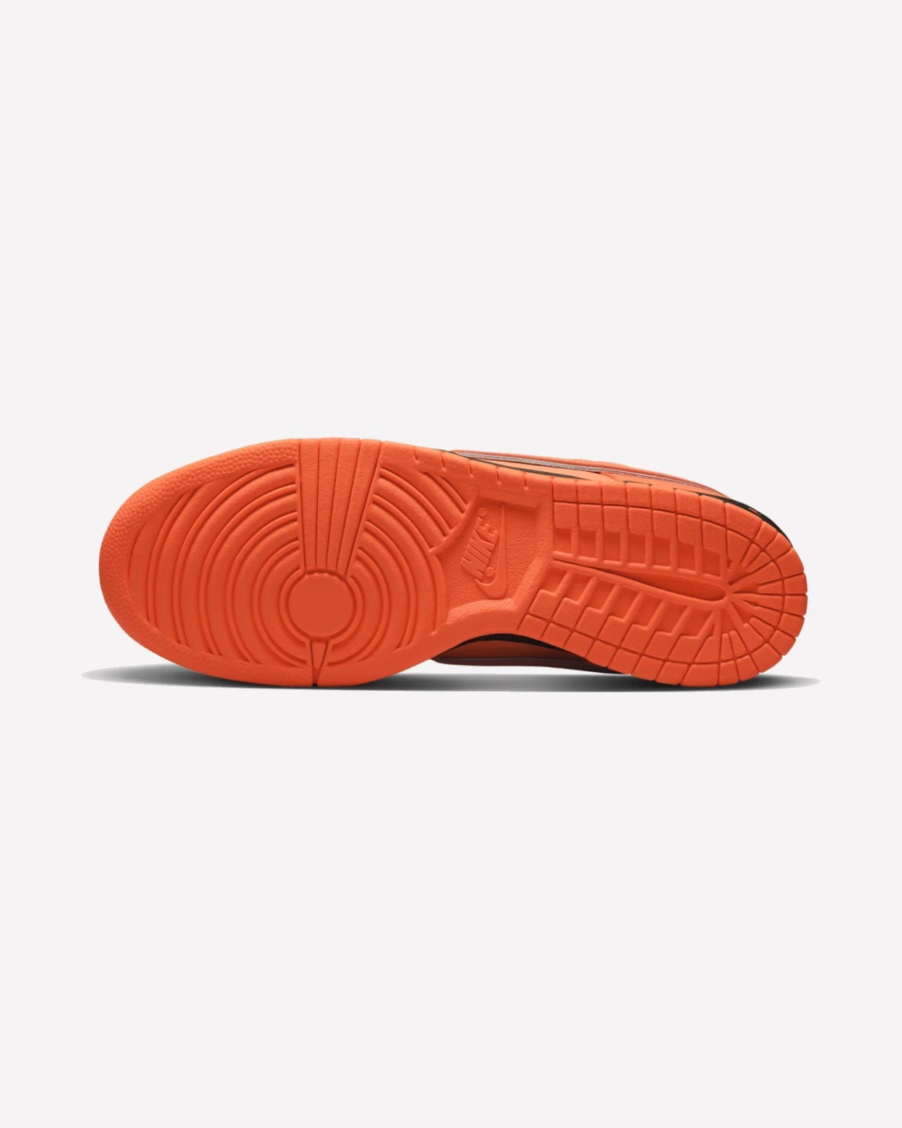 Nike SB Dunk Low Concepts Orange Lobster