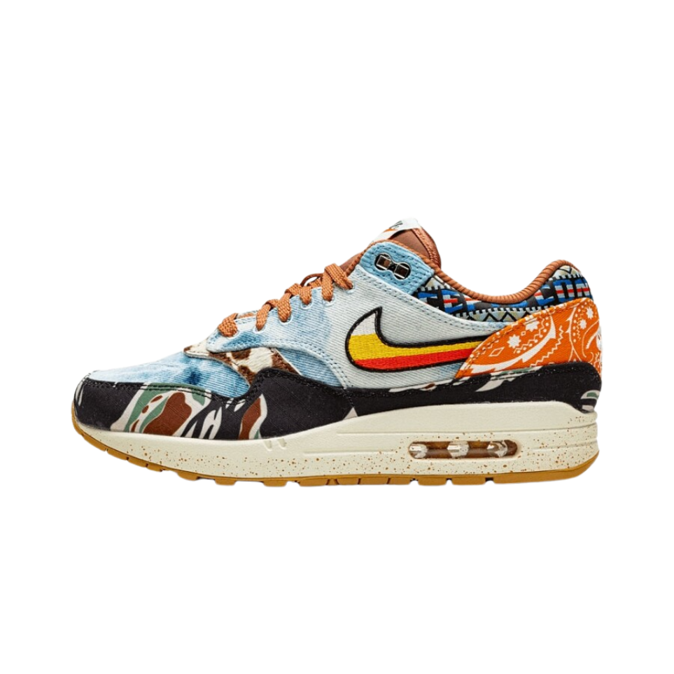 Nike Air Max 1 SP Concepts Heavy