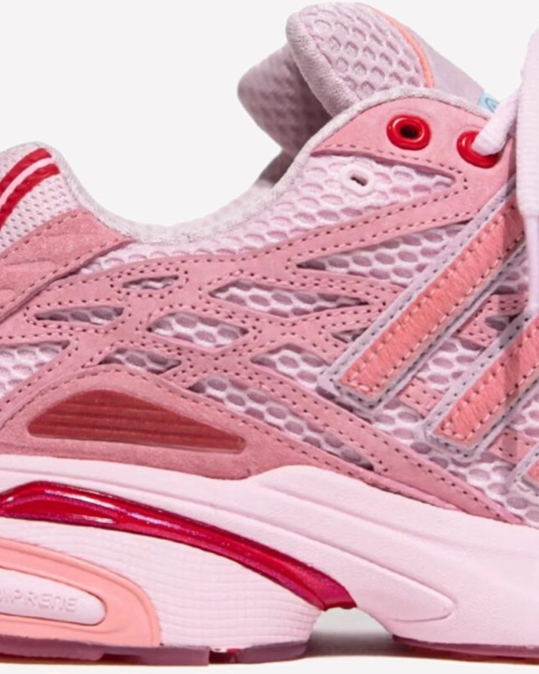 adidas Adistar Cushion 3 Unheardof Pork Chop Piggy Runner